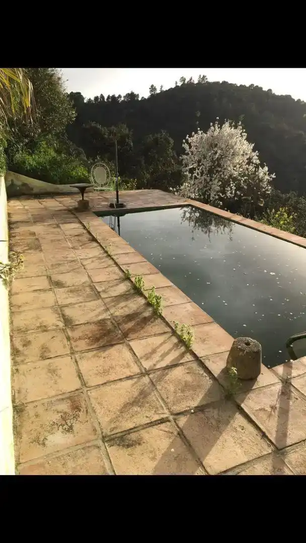 Piscina de Finca rústica en venda en Pozoblanco amb Jardí privat, Piscina i Balcó