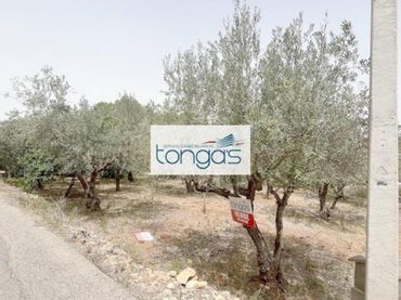 Terreno rustico in vendita a El Genovés
