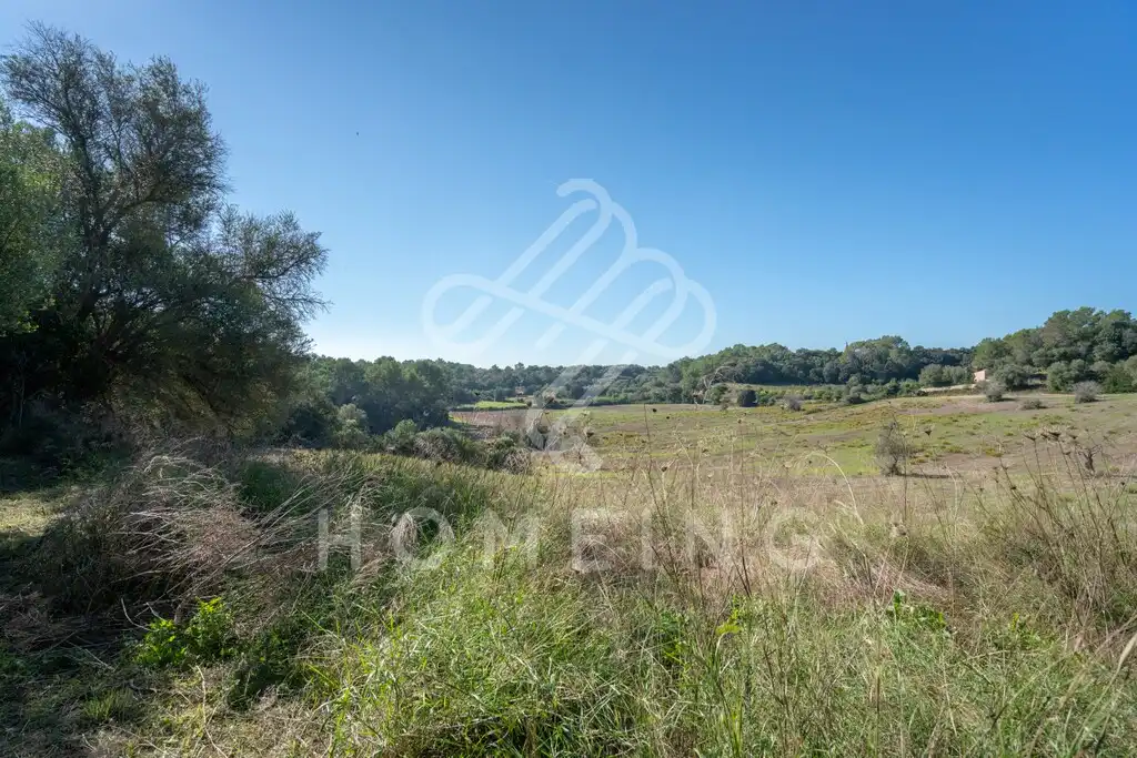 Country house with garden for sale in Costitx, imagen 8