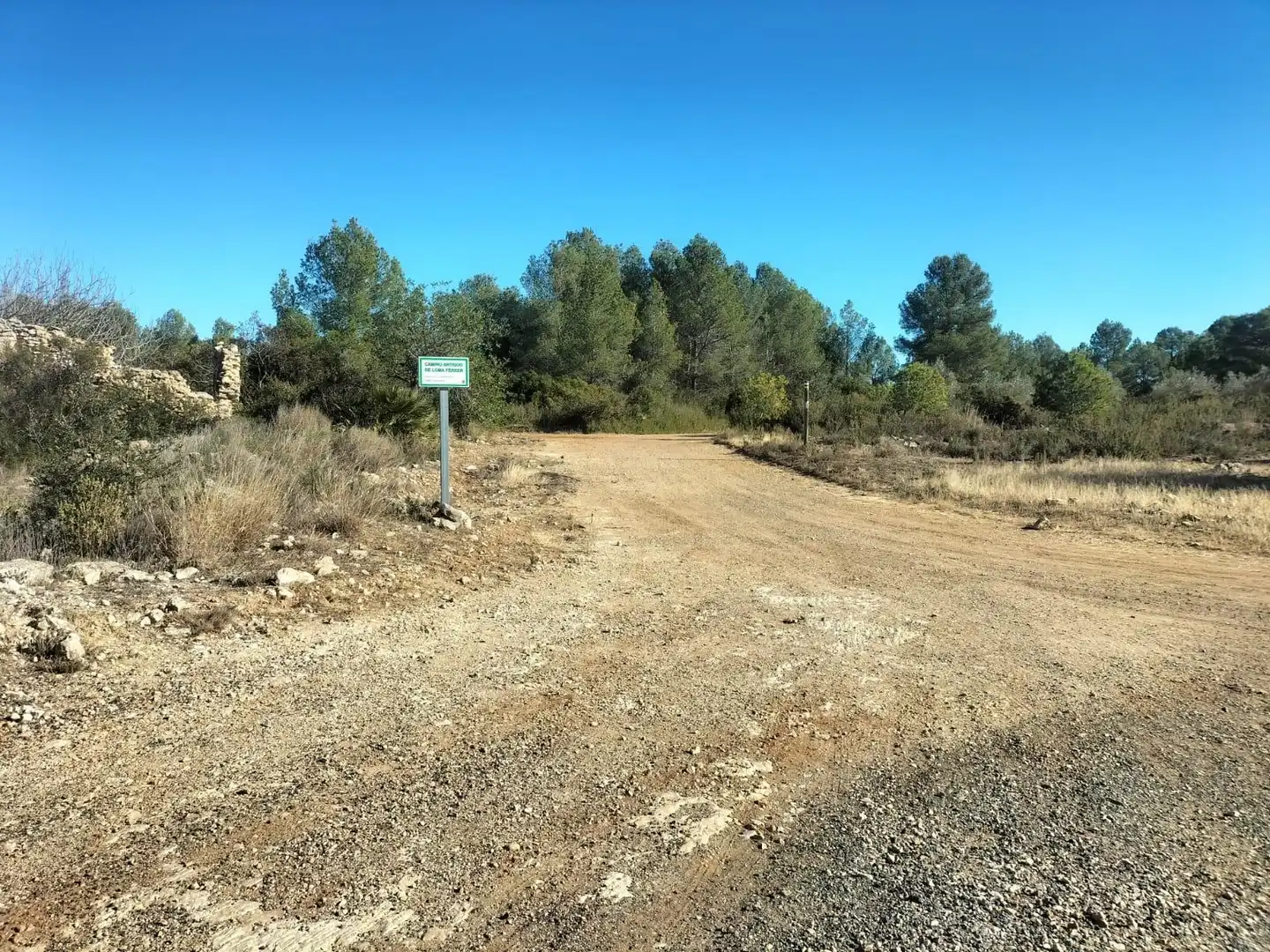 Terreno rustico in vendita a Polígono 7 Parcela 82 LOMA FERRER. NAVARRES (VALE 7, imagen 13