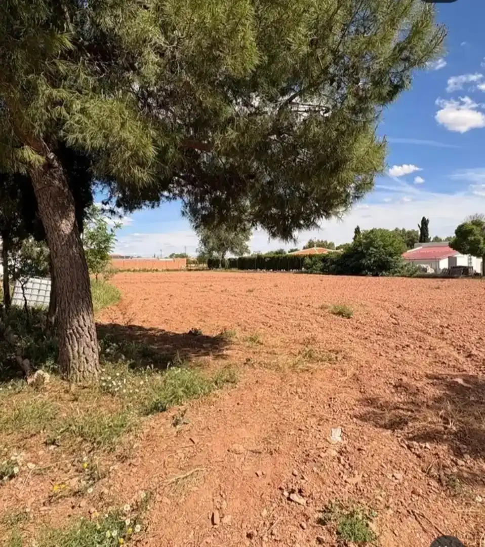 Finca rústica en venta en Membrilla