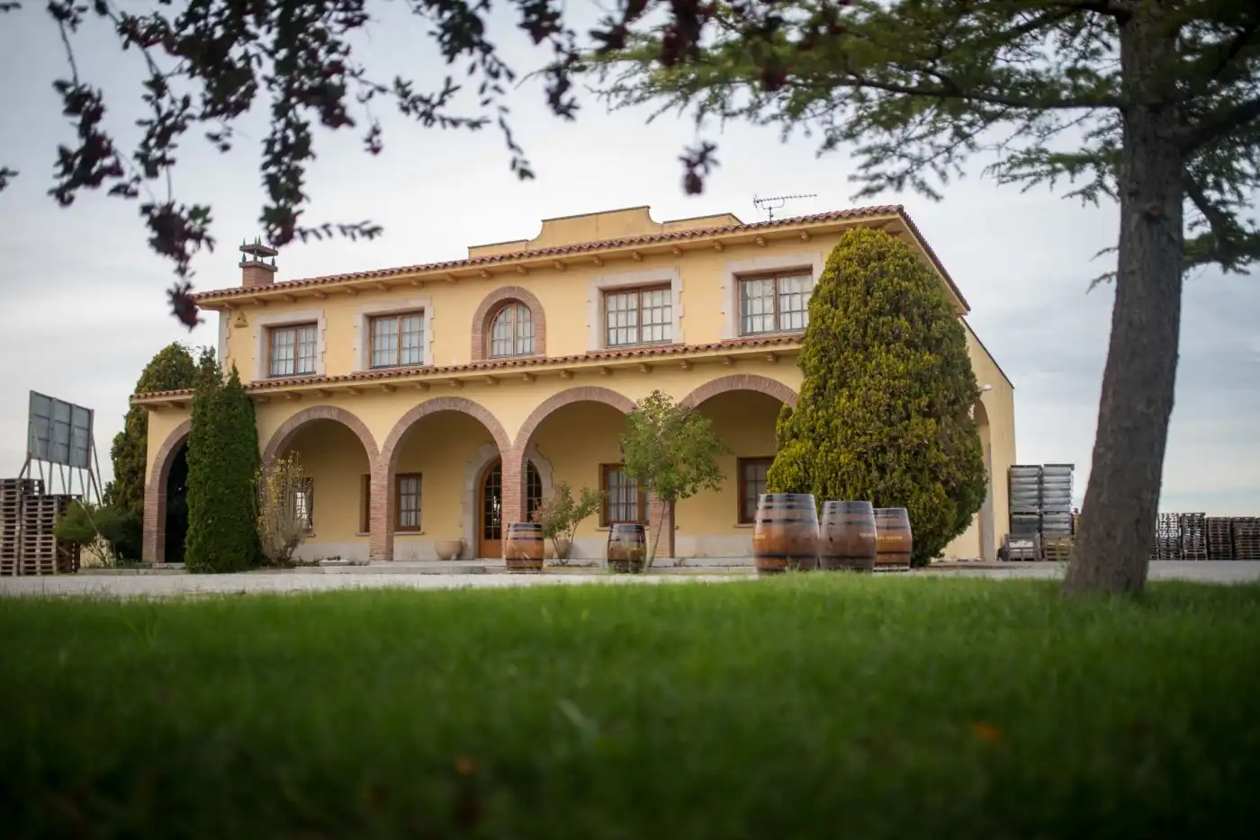 Vista exterior de Finca rústica en venta en Santa Fe del Penedès