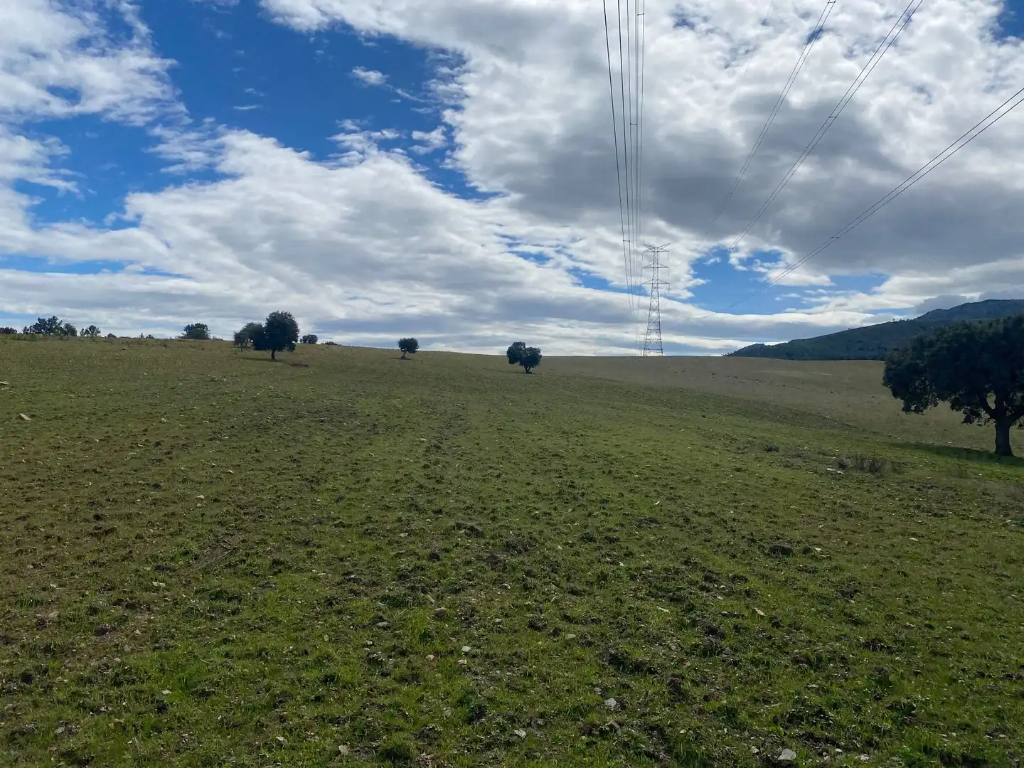 Terreny en venda en Mohedas de la Jara