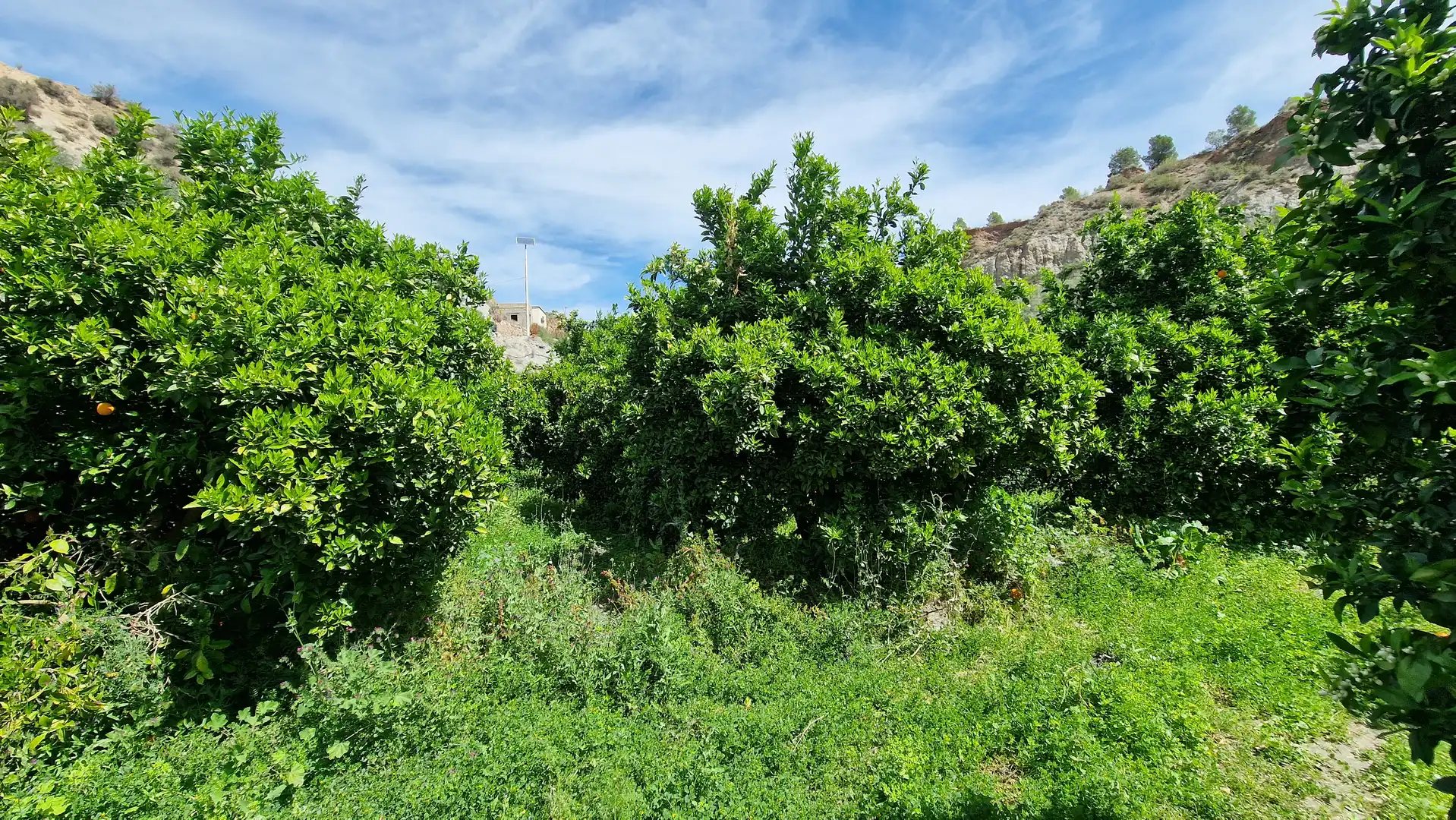 Finca rústica en venda en Canjáyar amb Jardí privat i Moblat