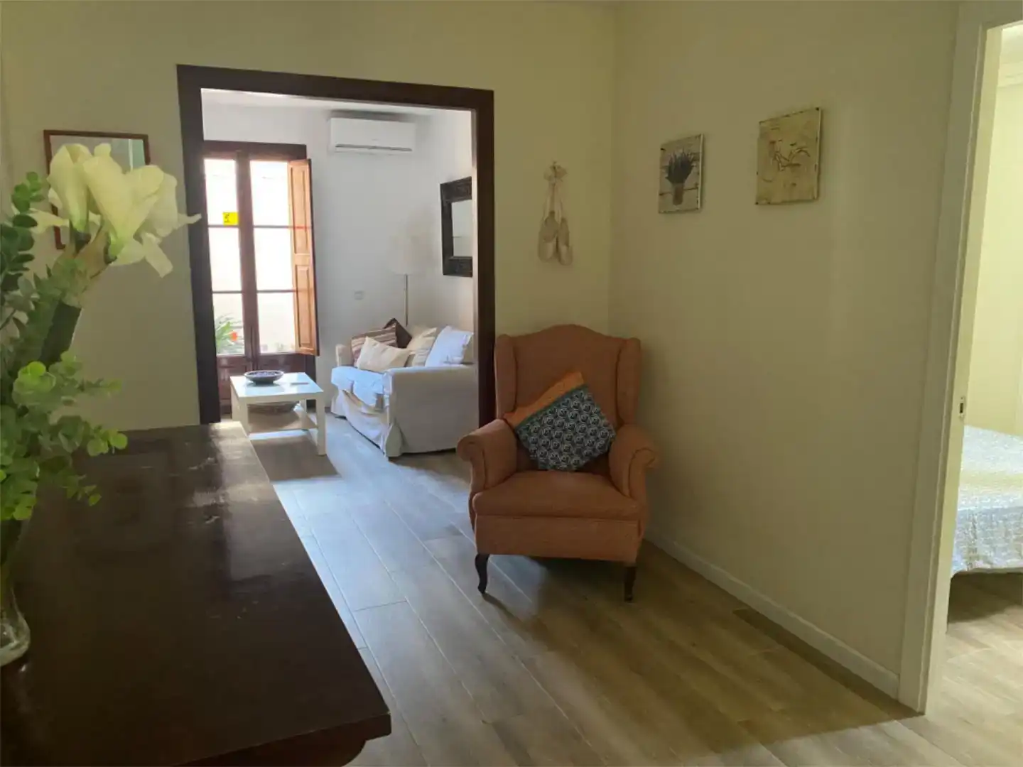 Sala d'estar de Pis de lloguer en Llevant