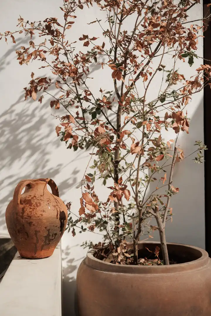 Casa a schiera in vendita a Nueva Andalucía, imagen 30
