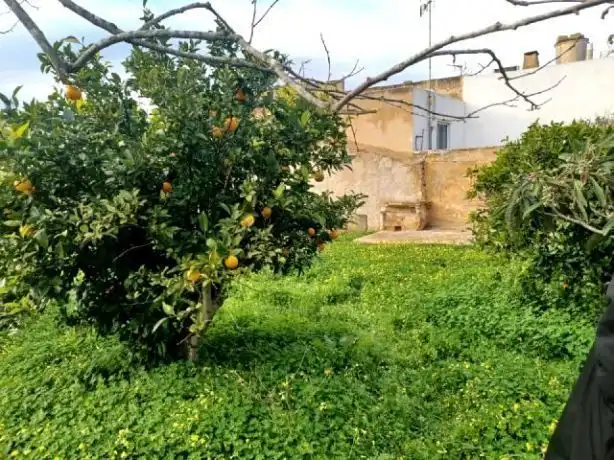 Terrenys i solars en venda a Felanitx Poble, imagen 11