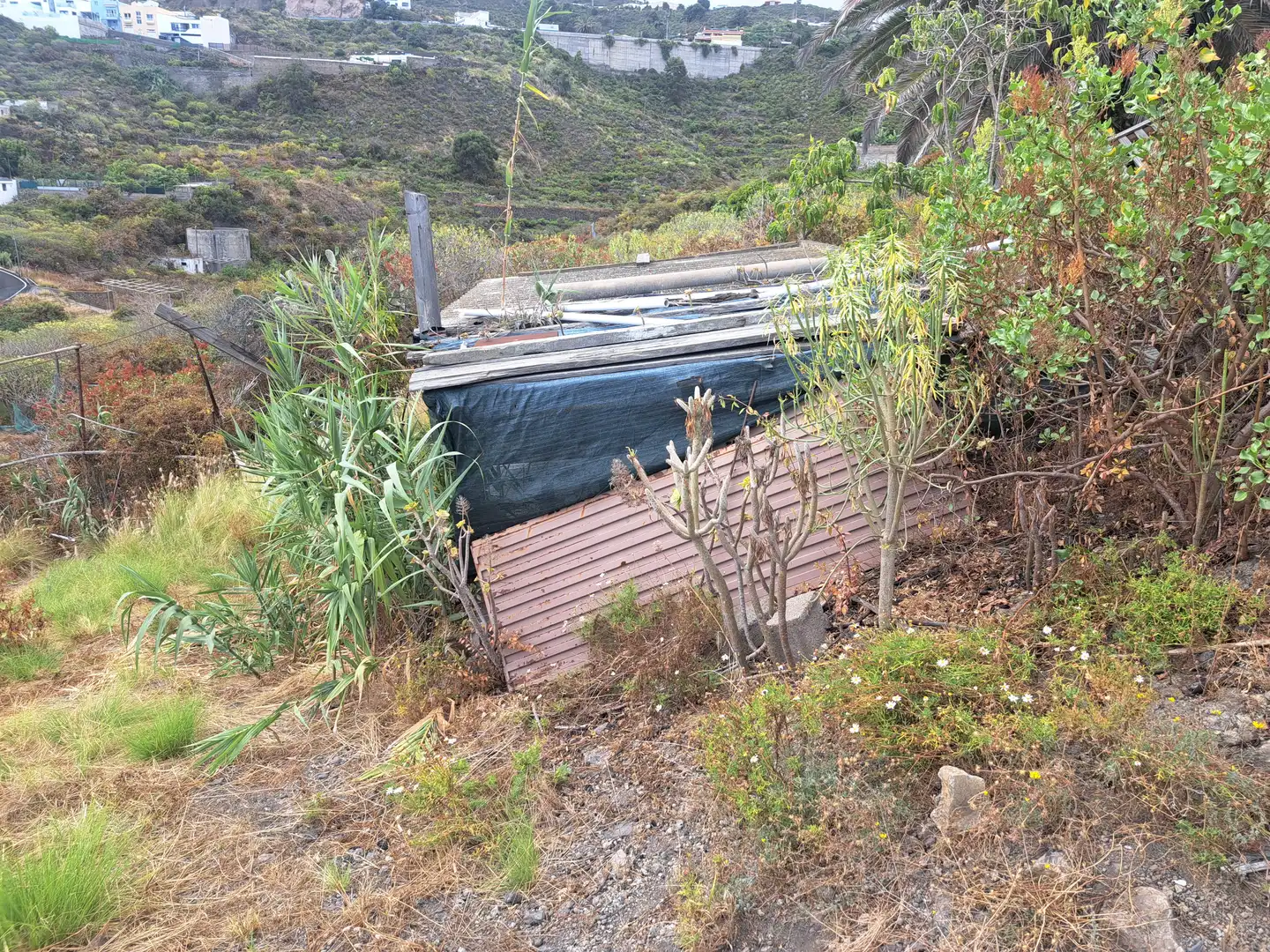 Land for sale in La Guancha