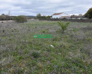 Finca rústica en venda en Ciudad Rodrigo