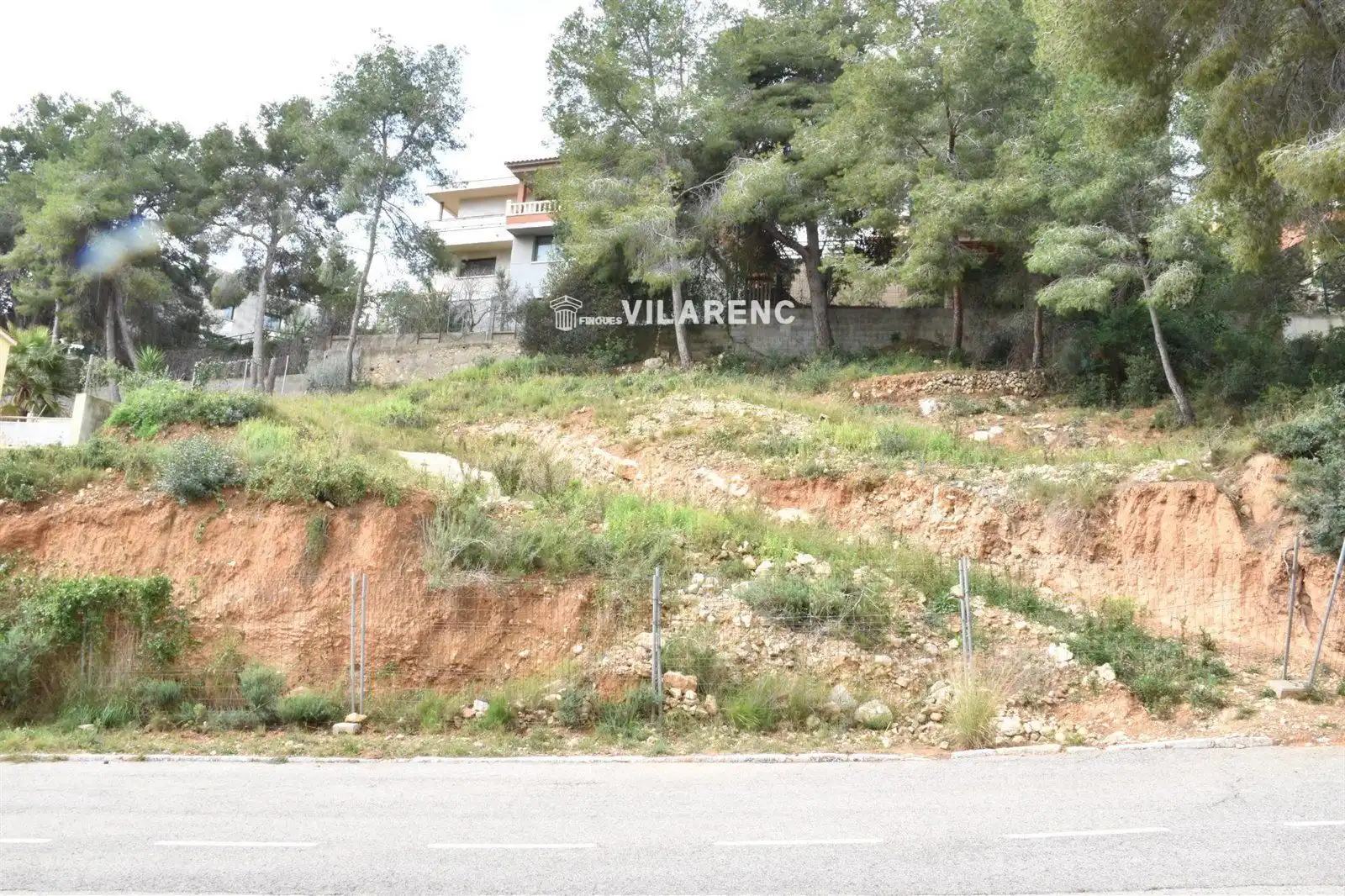Rural land for sale in GLADIOL, imagen 11