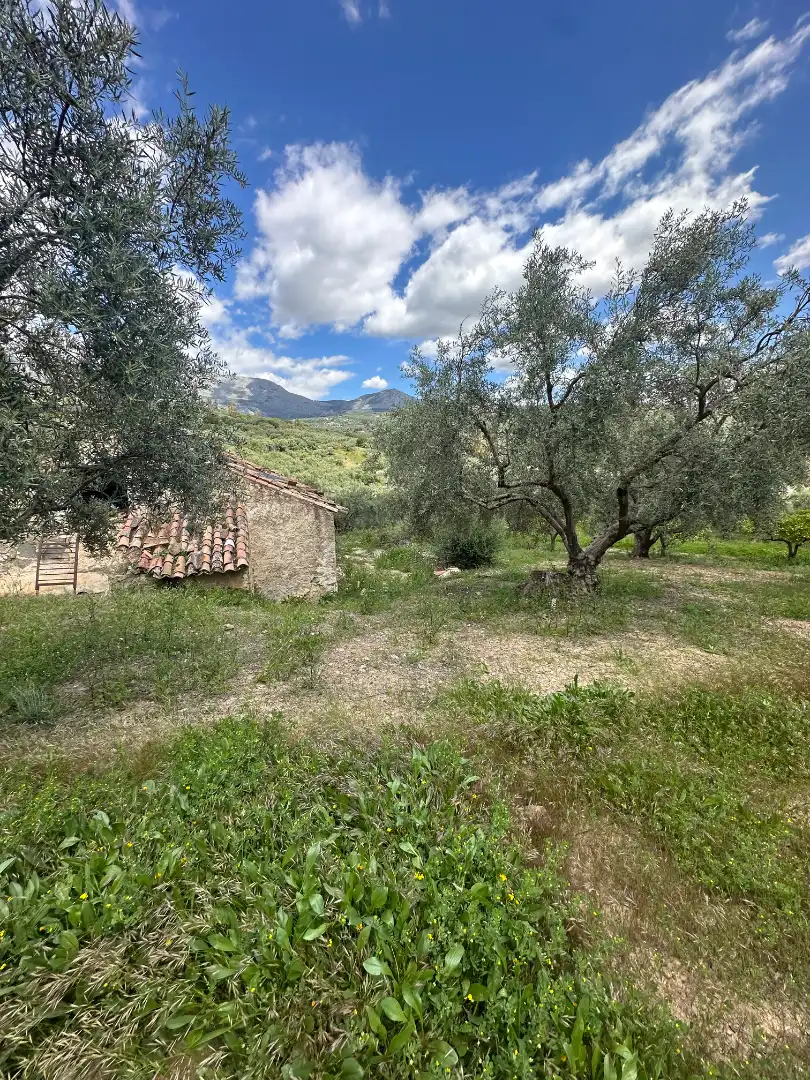 Terreni e lotti in vendita a Periana, imagen 2