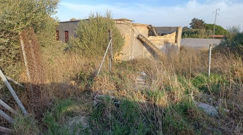Photo 2 of Land for sale in  Camino Molino de Cafe, La Soledad, Chiclana de la Frontera