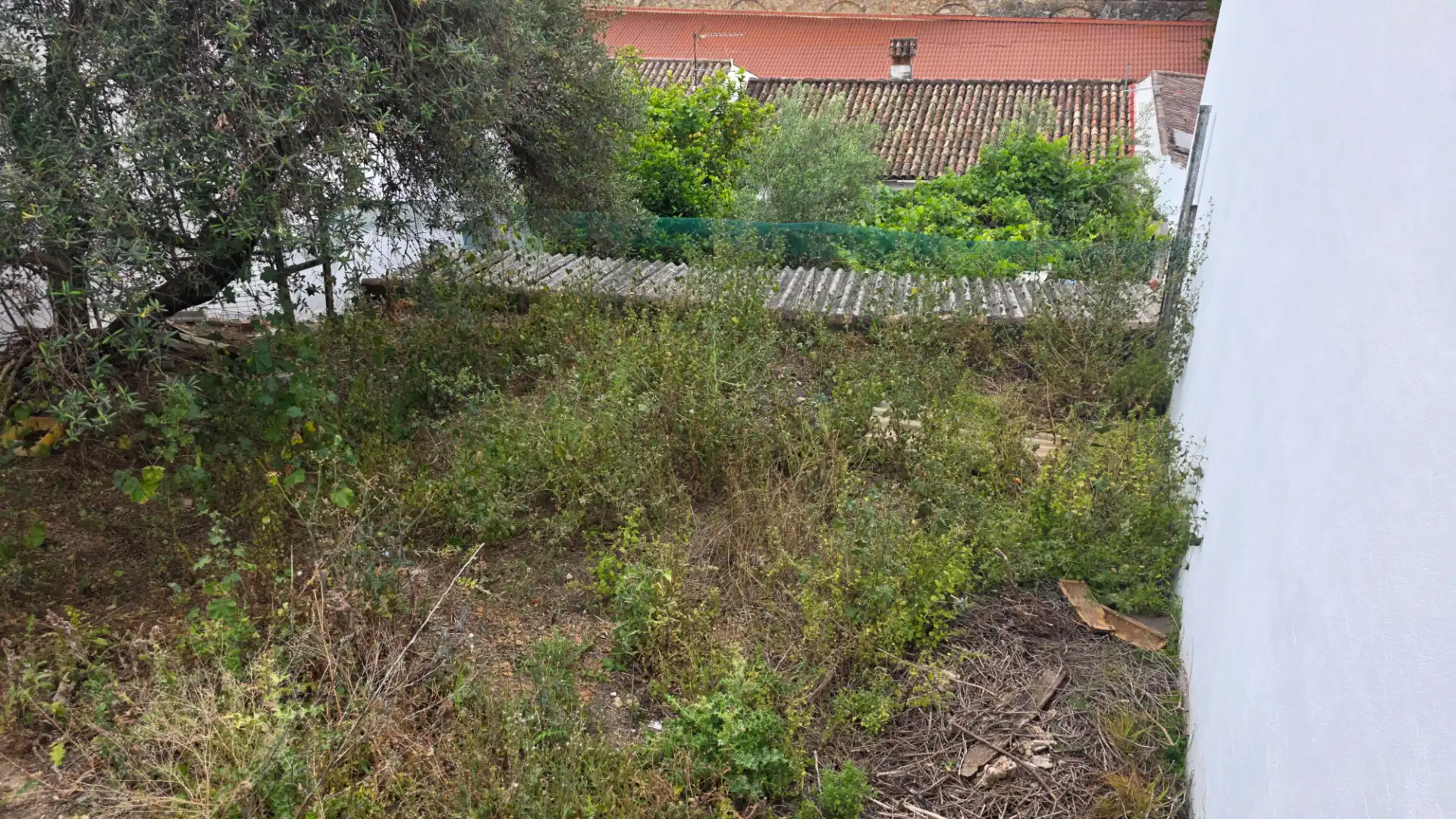 Residential land for sale in Grazalema, imagen 3