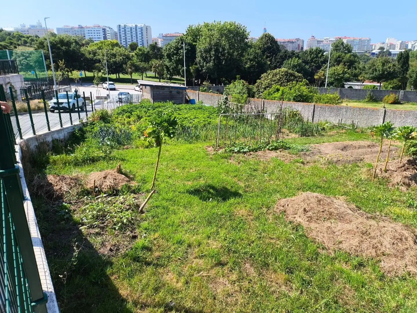 Terreni e lotti in vendita a Avenida de Lamadosa, imagen 7