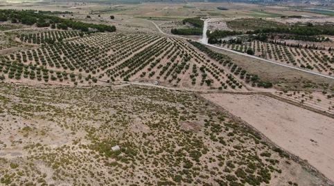 Foto 3 von Grundstücke zum Verkauf in Cañada, Alicante