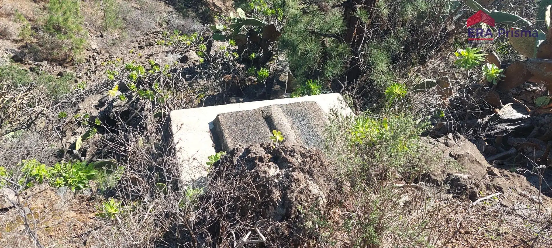 Terreny rústic en venda a Carretera Araya, imagen 33
