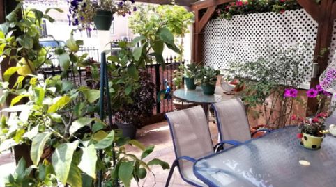 !CDATADúplex de Lujo con piscina comunitaria en Villamartín, Orihuela Costa!, imatge 2