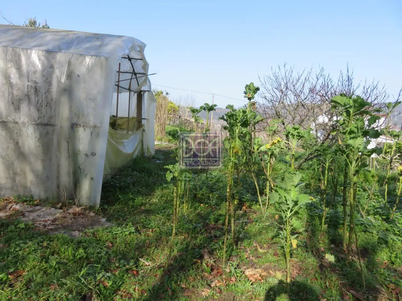 Lands and plots for sale in Mondariz, imagen 12