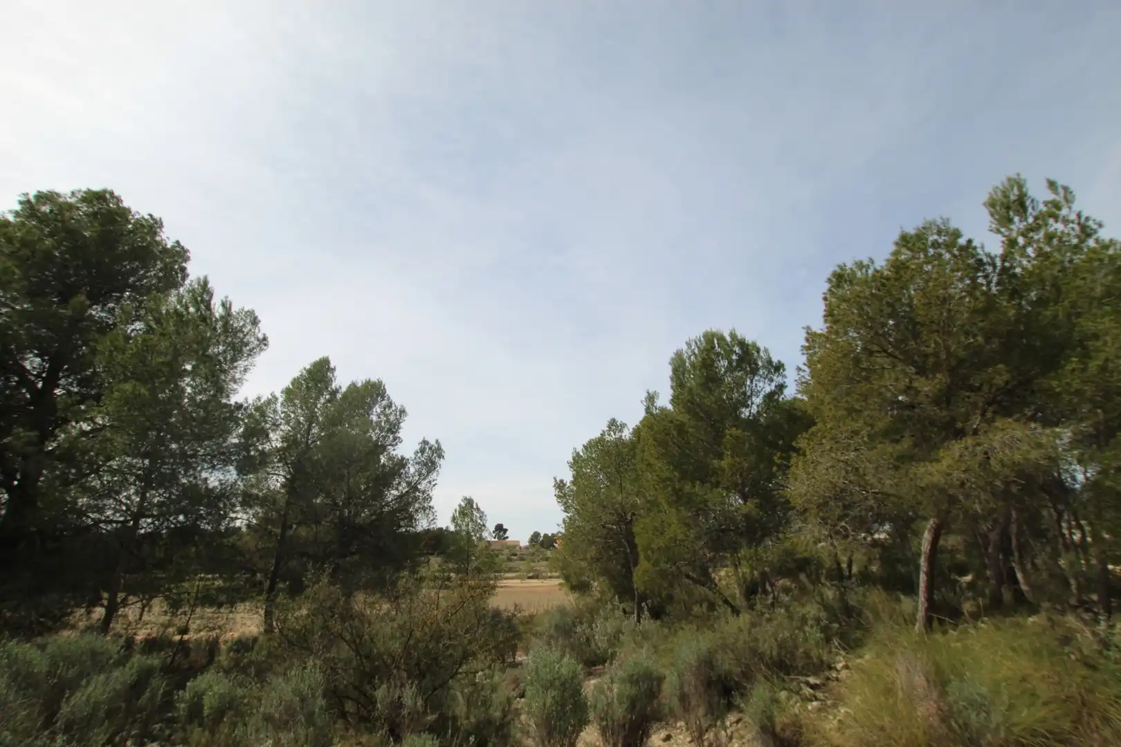 Maison rustique à vendre à Monóvar  / Monòver, imagen 10