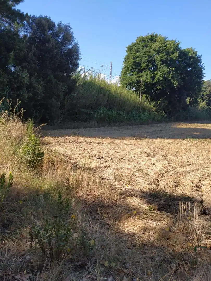 Finca rústica en venta en Riells i Viabrea