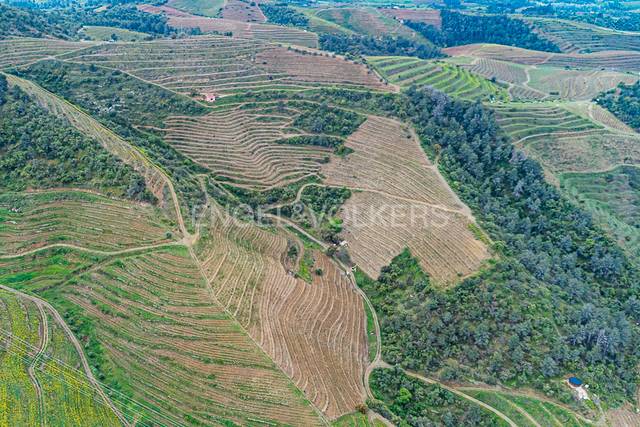 Terreno residencial en Venta en Bellmunt del Priorat
