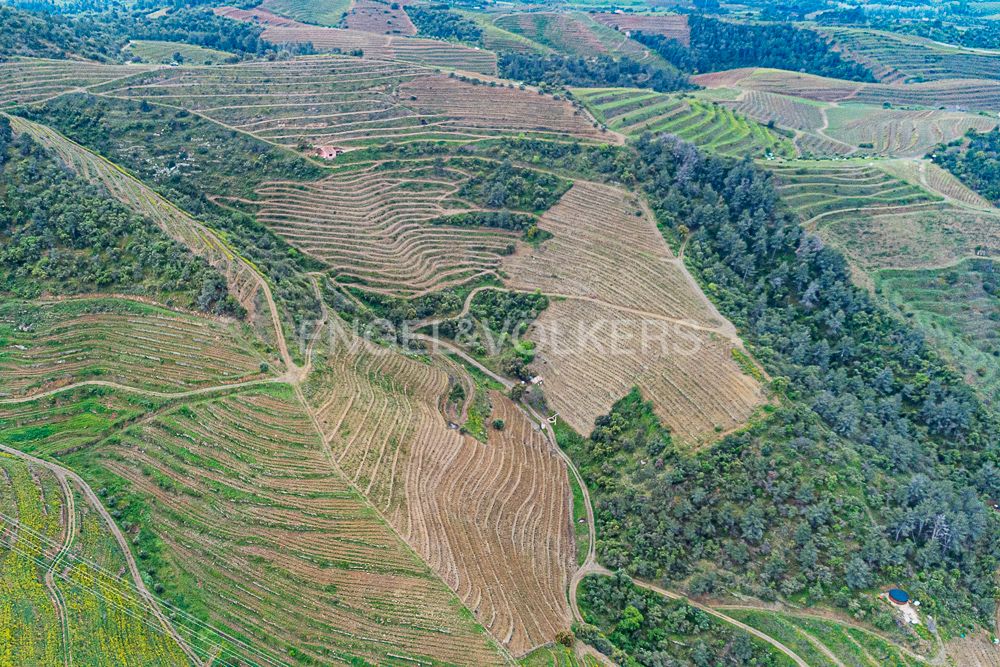 Residential for sale in Bellmunt del Priorat