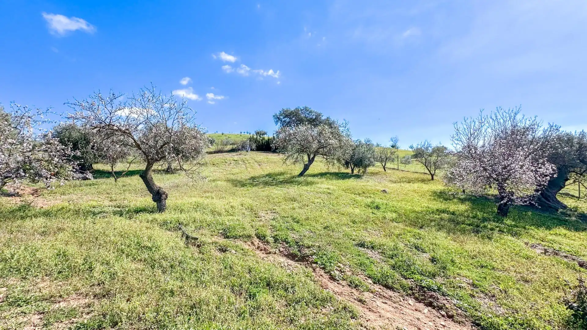 Houses for sale in Almogía  with Air Conditioner, Private garden and Terrace