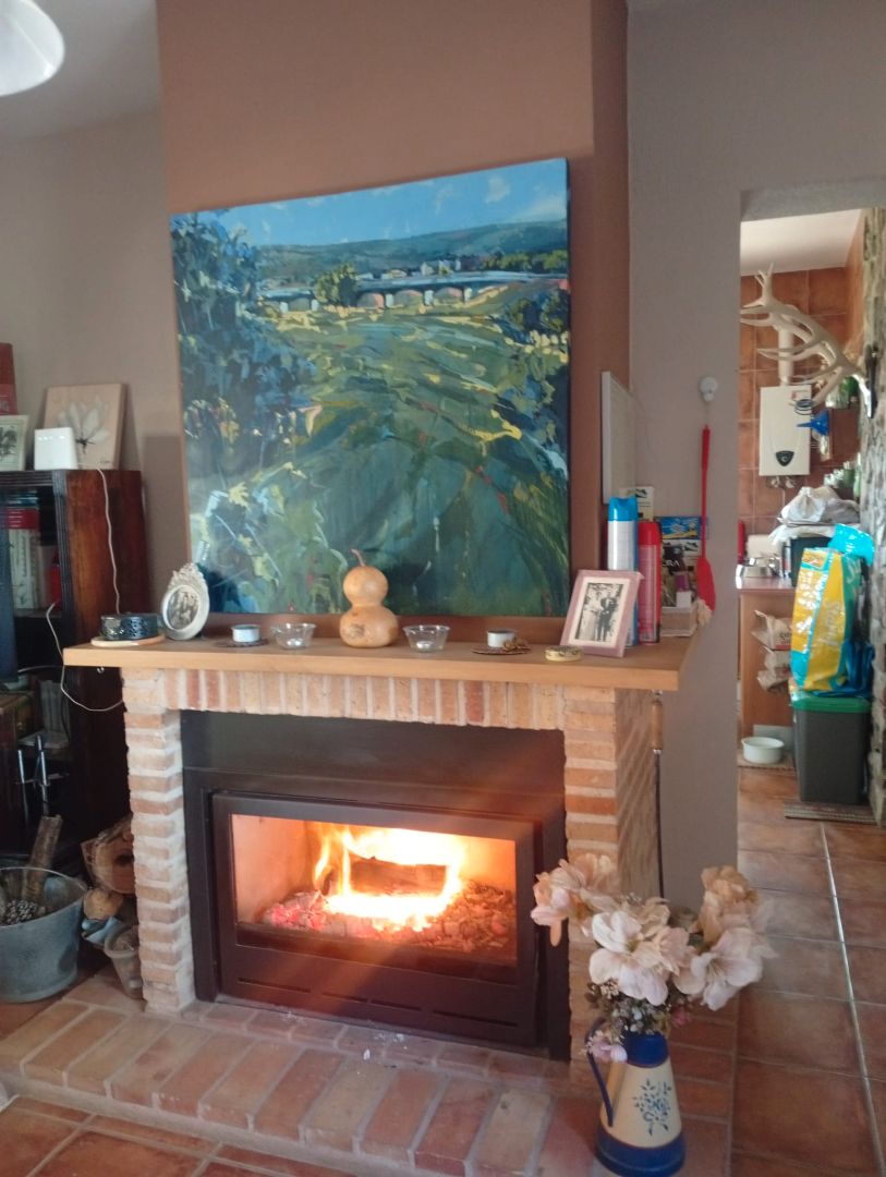 Sala d'estar de Casa o xalet en venda en Ciudad Real Capital amb Aire condicionat, Jardí privat i Piscina