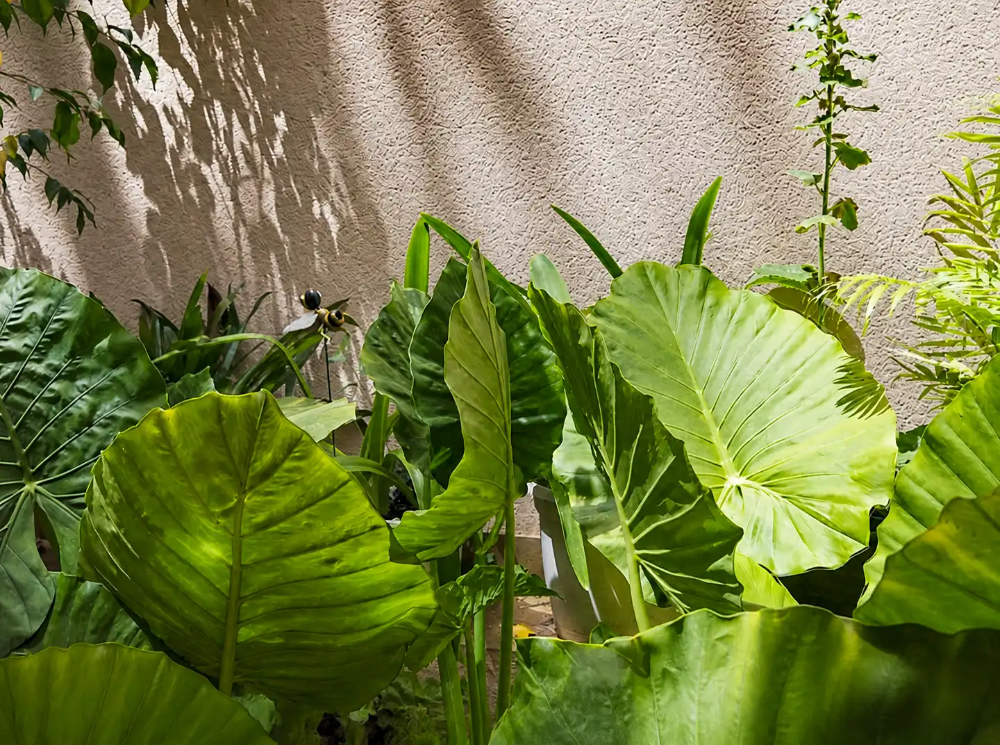 Jardí de Planta baixa en venda en Barcelona amb Calefacció, Jardí privat i Terrassa