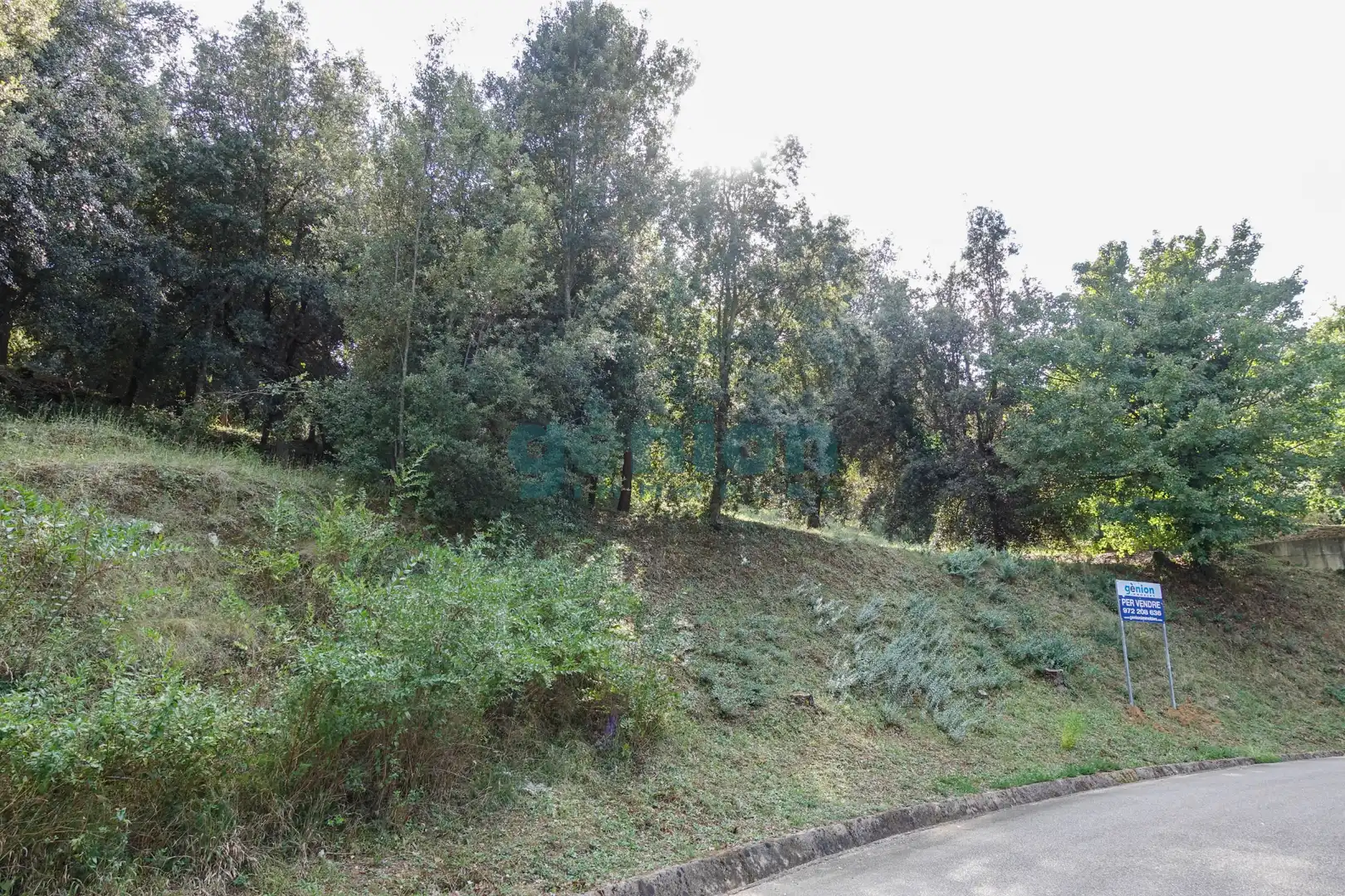 Terreno residenziale in vendita a Diseminado Afueras, imagen 2