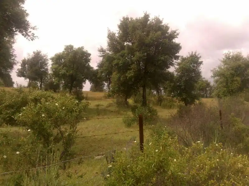 Casa rústica en venda a Valverde del Camino, imagen 11