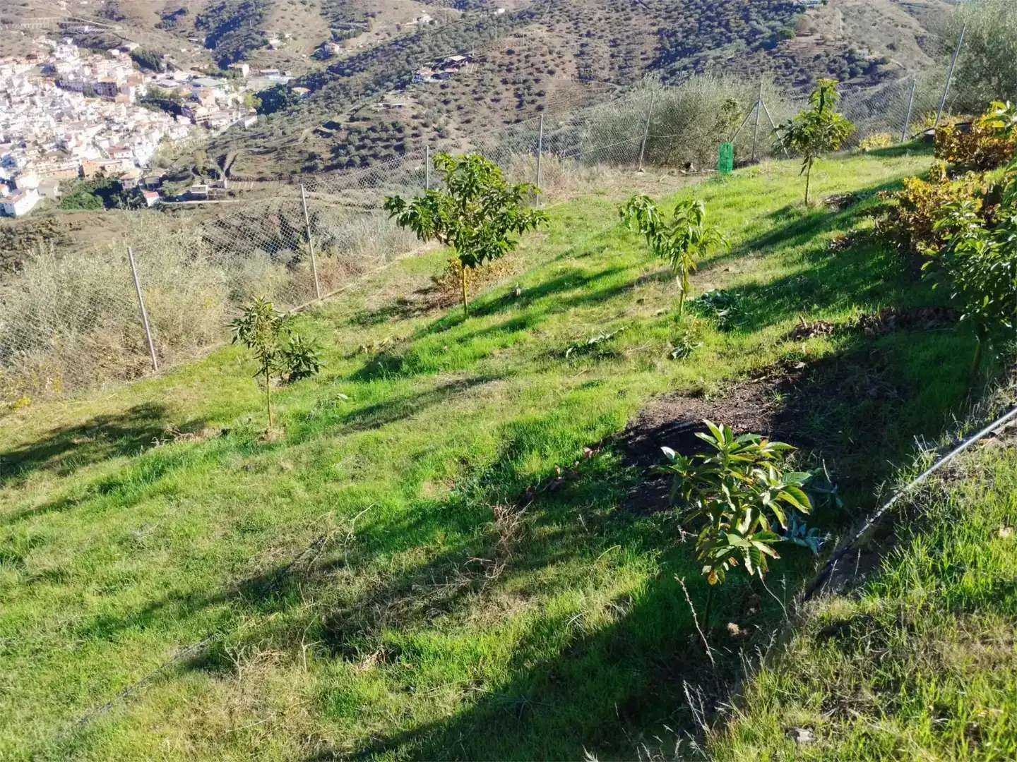 Terreno en venta en Arenas