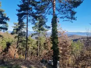 Residential land for sale in Carrer de l'Estany 408, imagen 12