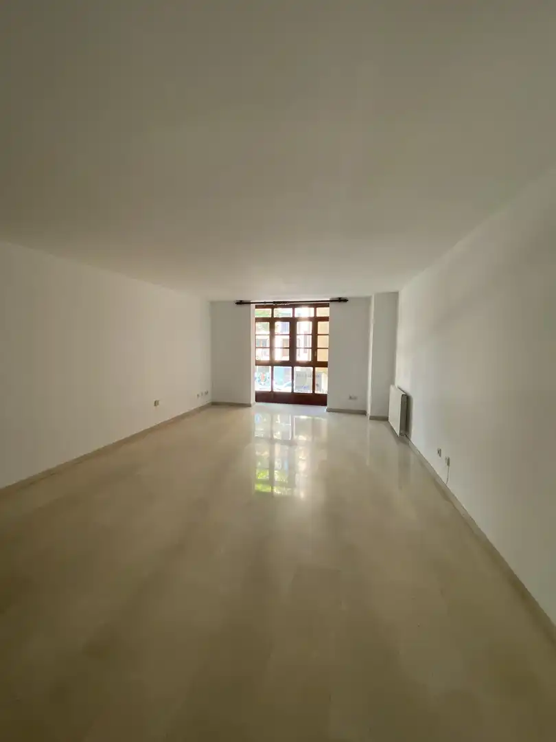 Sala d'estar de Pis en venda en  Palma de Mallorca