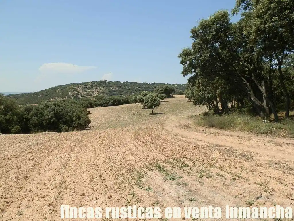 Rustikales Grundstück zum Verkauf in Alcocer, imagen 11