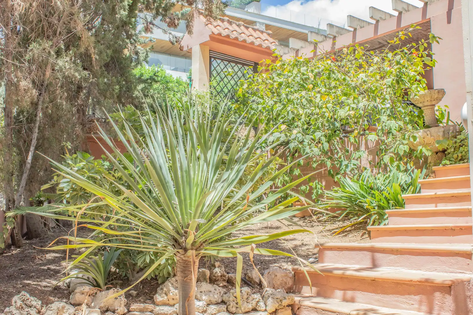 Garten von Einfamilien-Reihenhaus zum Verkauf in Calvià mit Klimaanlage, Heizung und Terrasse