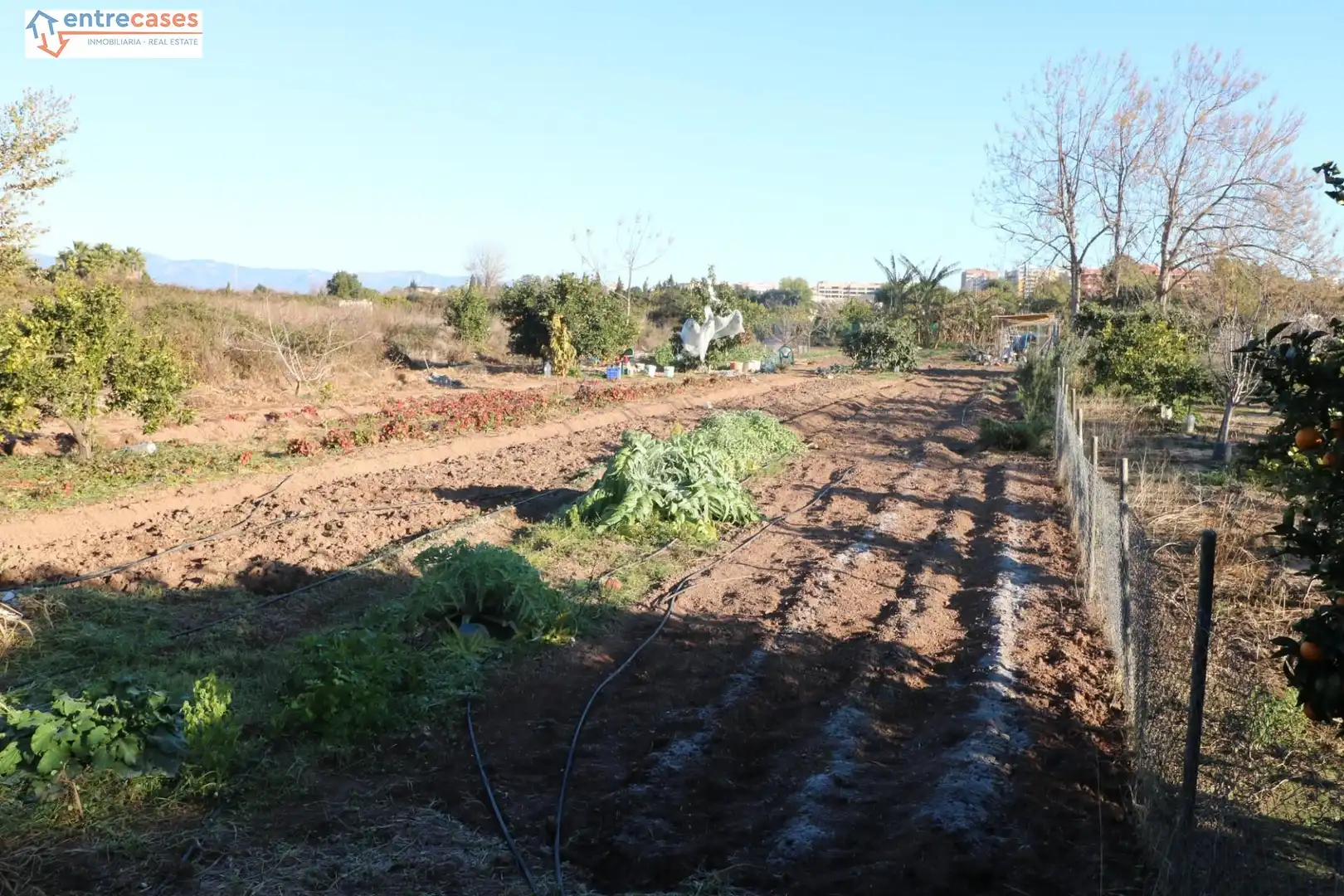 Rural land for sale in Canet d'En Berenguer, imagen 7
