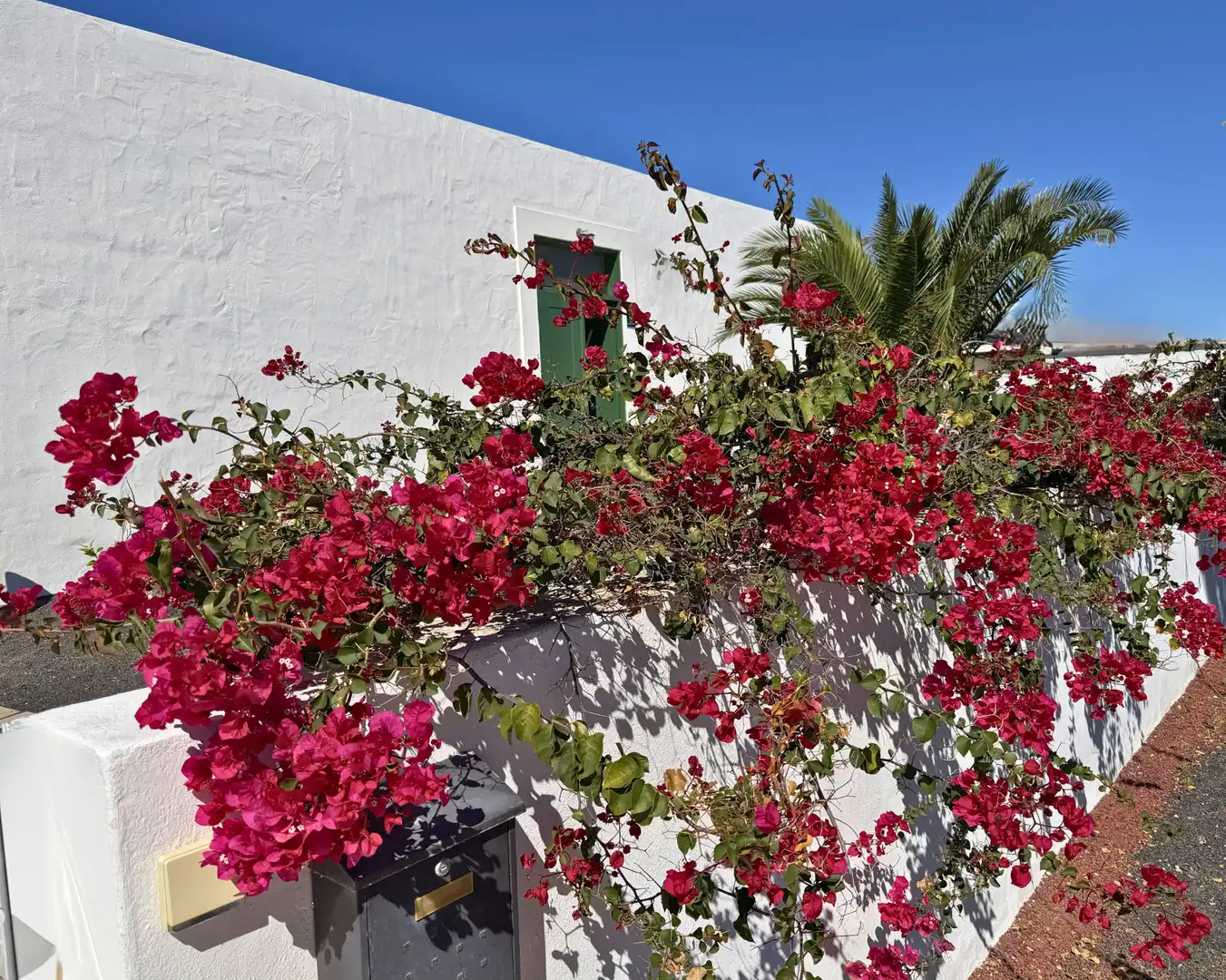 Vista exterior de Casa o chalet en venta en Teguise con Jardín privado y Piscina