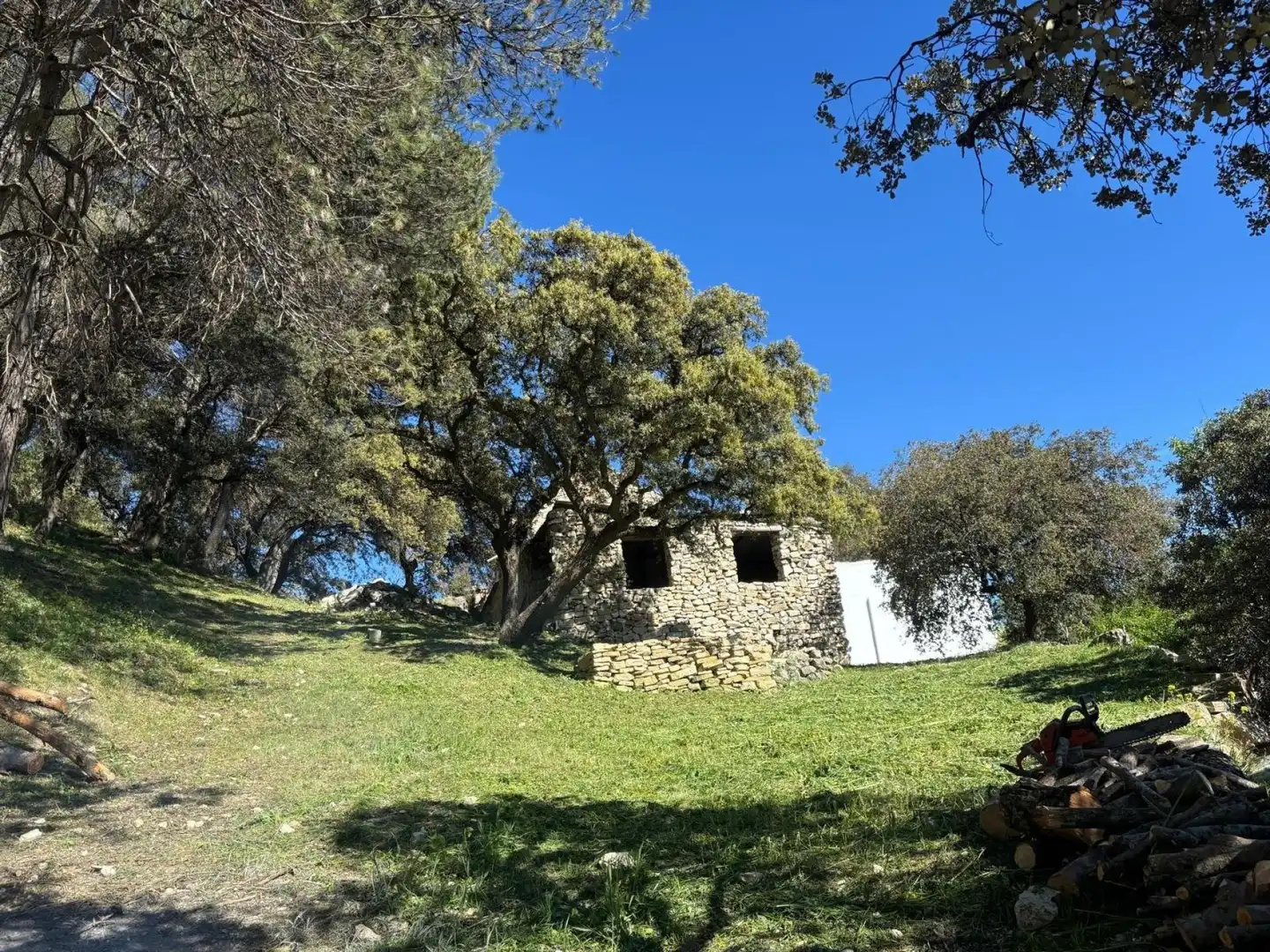 Terrain rustique à vendre à Loja, imagen 4