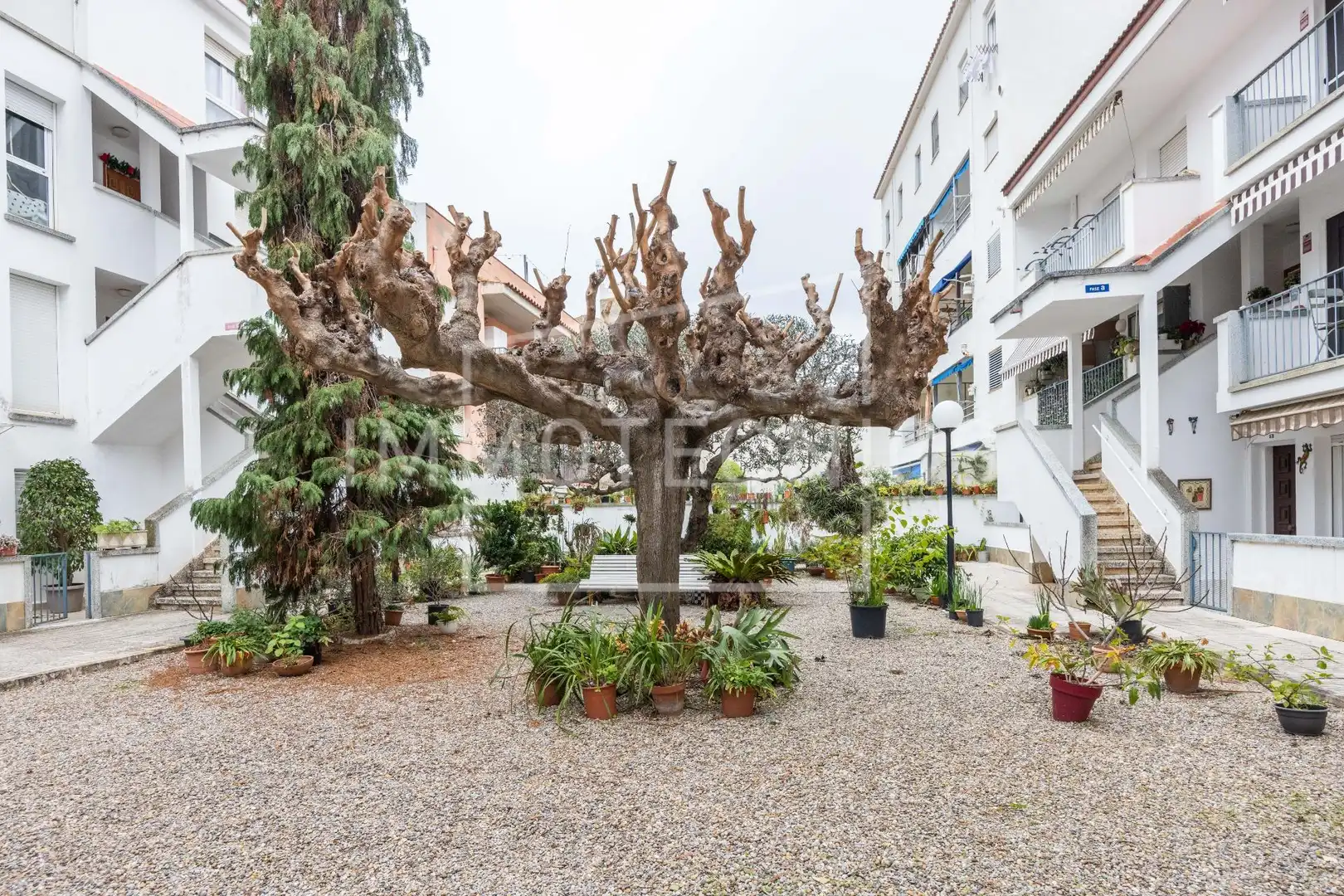 Garten von Maisonette zum Verkauf in Caldes d'Estrac mit Klimaanlage, Heizung und Privatgarten
