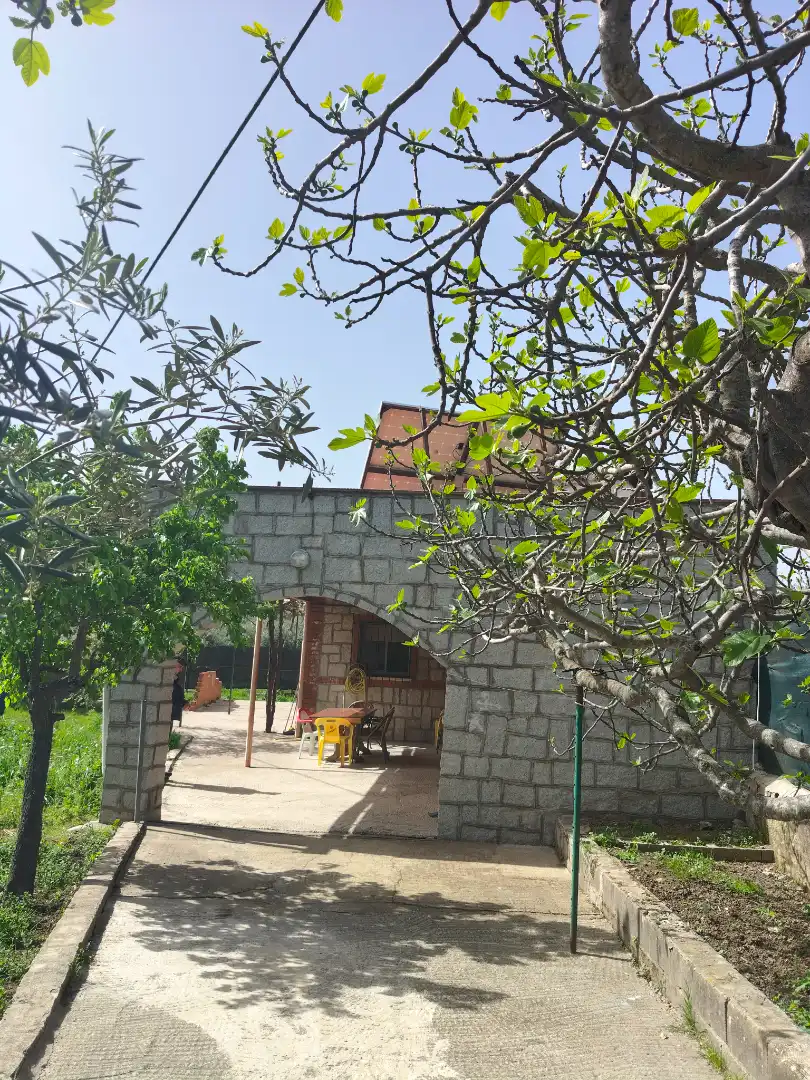 Exterior view of Houses for sale in Cenicientos  with Private garden, Terrace and Storage room