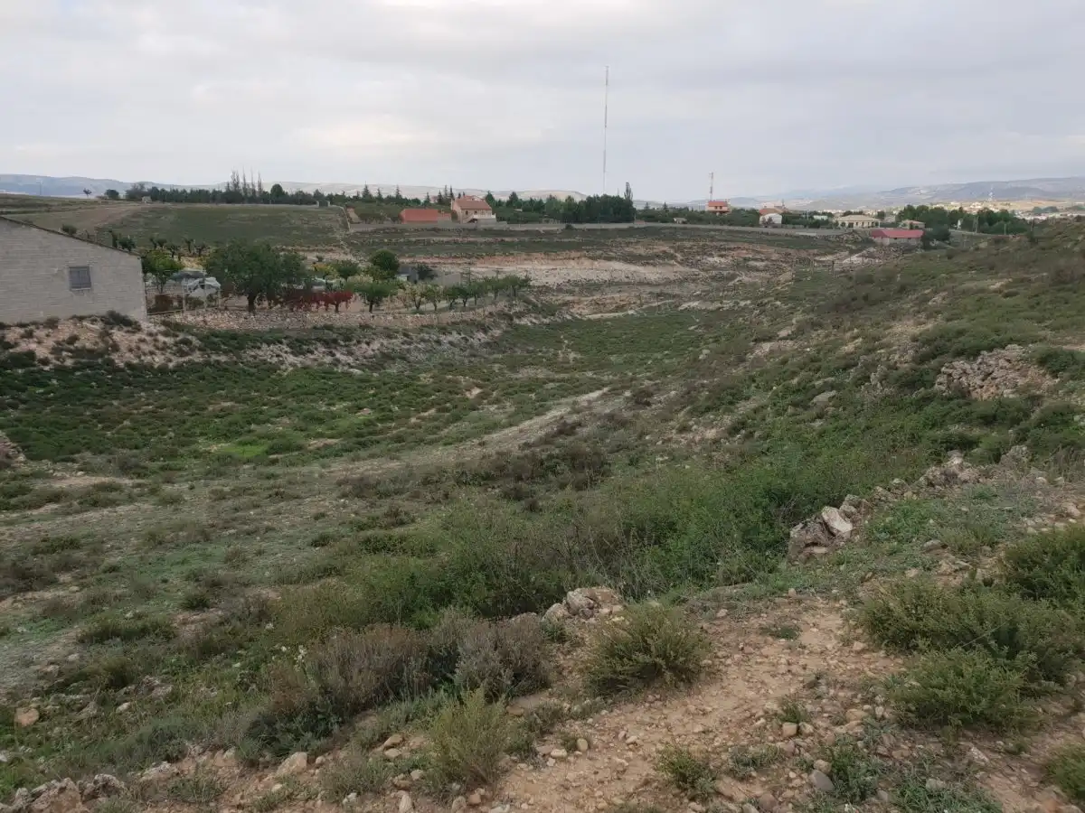 Terreni e lotti in vendita a El Pinar -  San León - Las Viñas