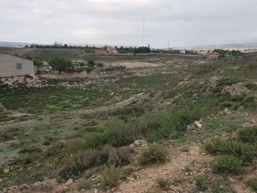 Terreno rustico in vendita a El Pinar -  San León - Las Viñas