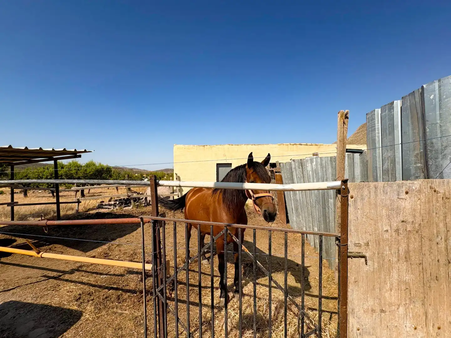 Vista exterior de Casa o chalet en venta en Orihuela con Calefacción, Jardín privado y Terraza