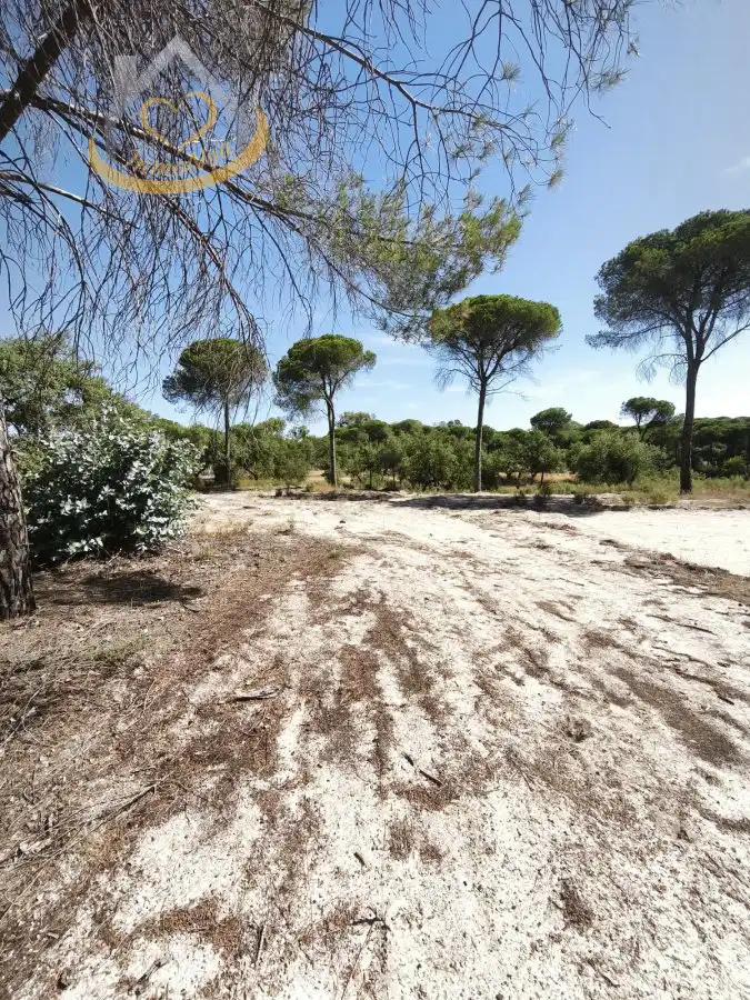 Terreni e lotti in vendita a Moguer, imagen 5