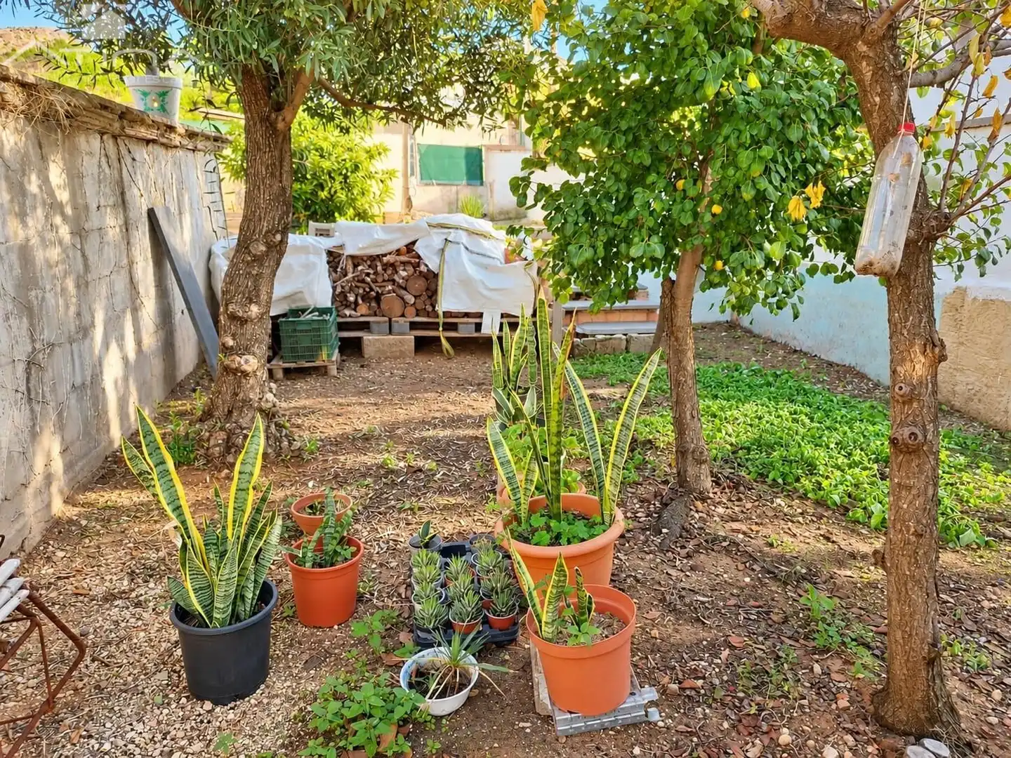Villa zum Verkauf in Palma de Gandia, imagen 13