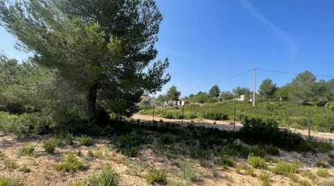 Foto 4 de Terreno en venta en Arrabal Poligono el Rincon, 9, Buñol, Valencia