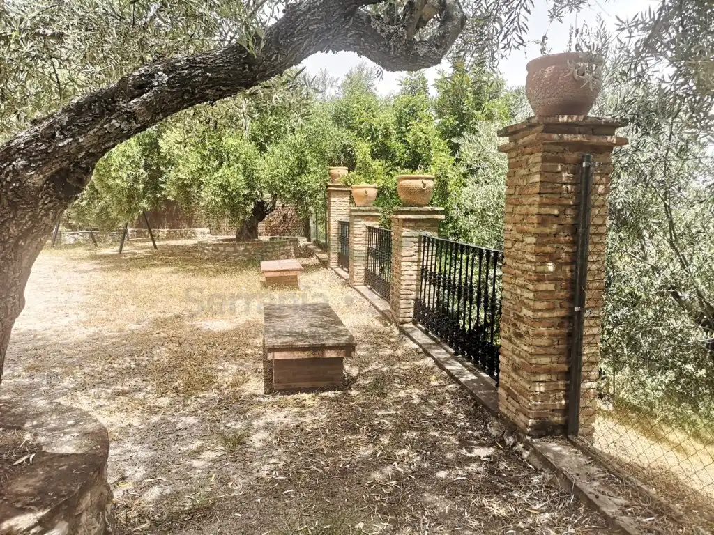 Jardí de Finca rústica en venda en Zahara