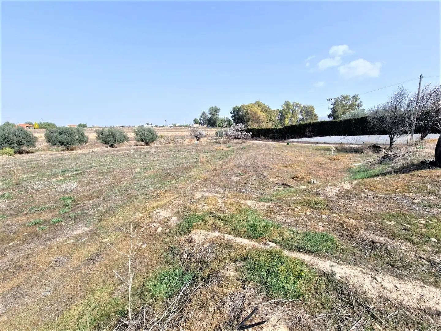 Terreno residenziale in vendita a Pedanías Sur, imagen 5
