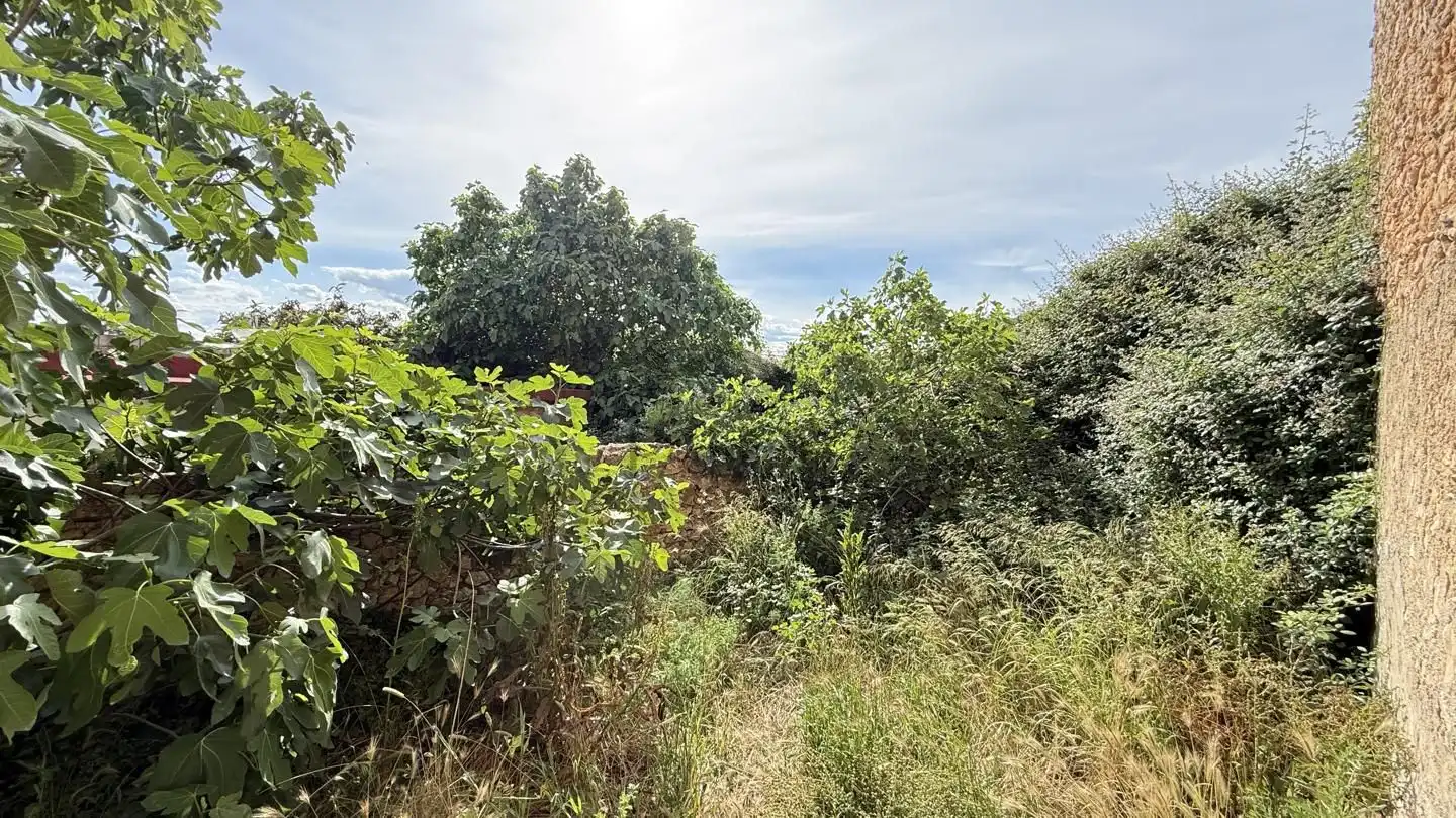 Finca rústica en venda en Simat de la Valldigna amb Traster